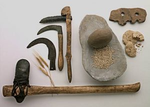 Conjunto de herramientas del neolitico