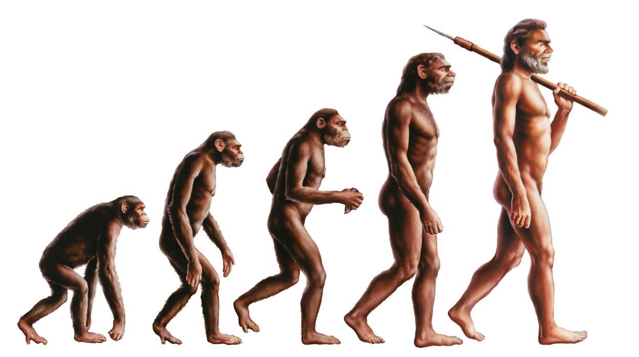La evolución del hombre - Un Historiador